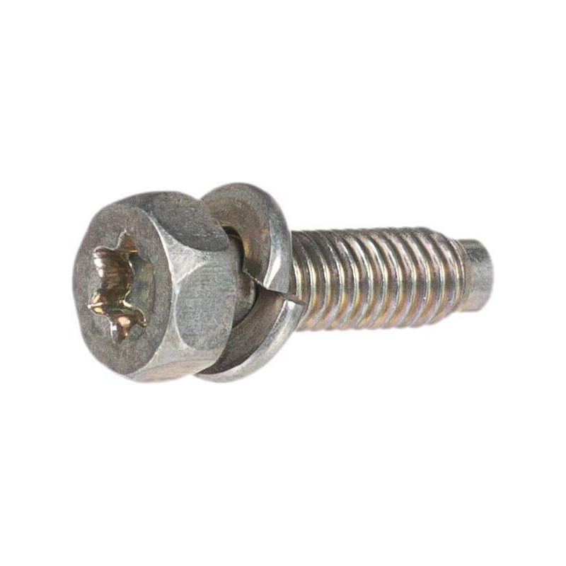 Briggs and Stratton screw - 791972
