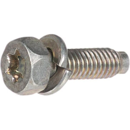 Parafuso Briggs e Stratton - 791972