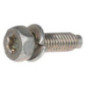 Briggs and Stratton screw - 791972