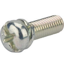 Briggs and Stratton screw - 695407