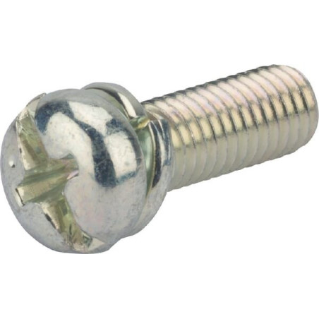 Briggs and Stratton screw - 695407