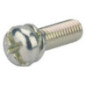Briggs and Stratton screw - 695407