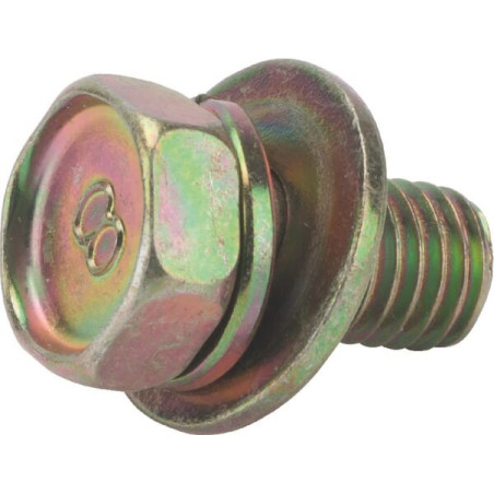 Briggs and Stratton screw - 692056