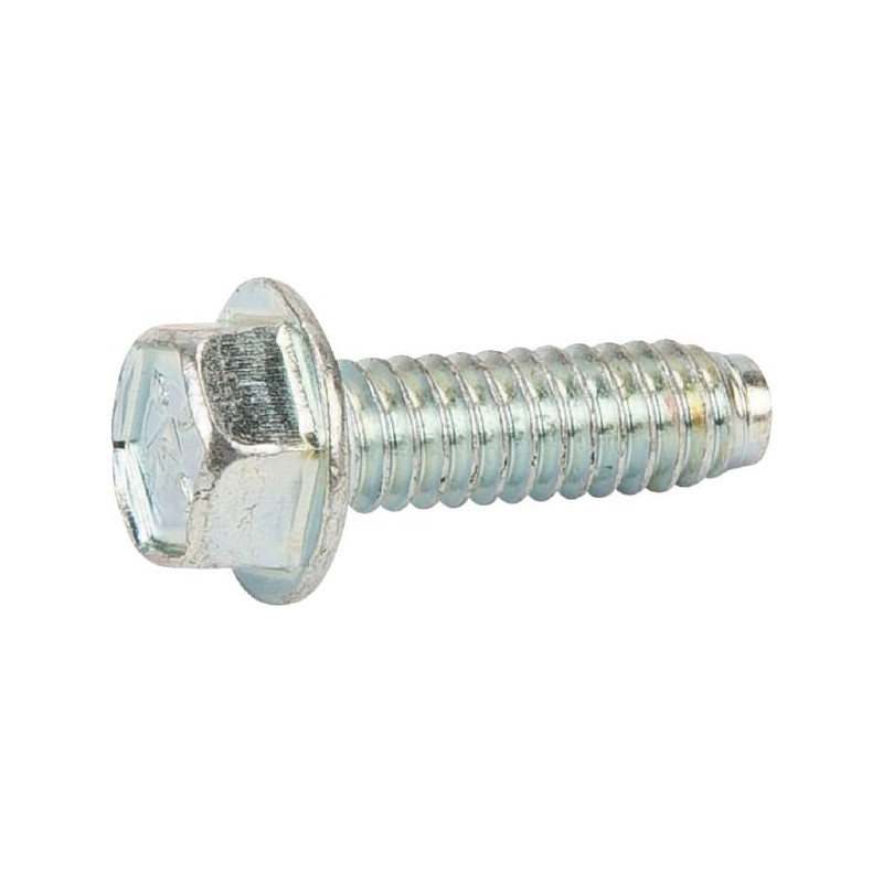 Vite Briggs e Stratton - 691127