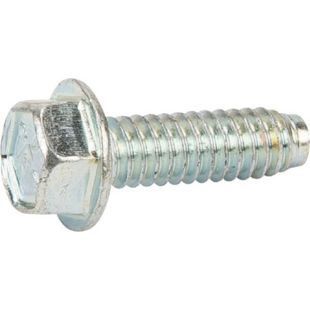 Briggs and Stratton screw - 691127