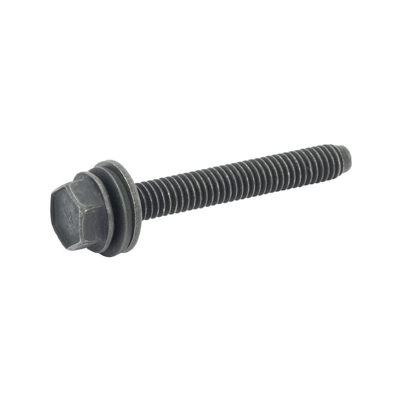 Briggs and Stratton screw - 590422