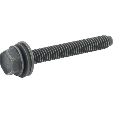 Briggs and Stratton screw - 590422