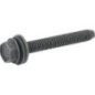 Briggs and Stratton screw - 590422
