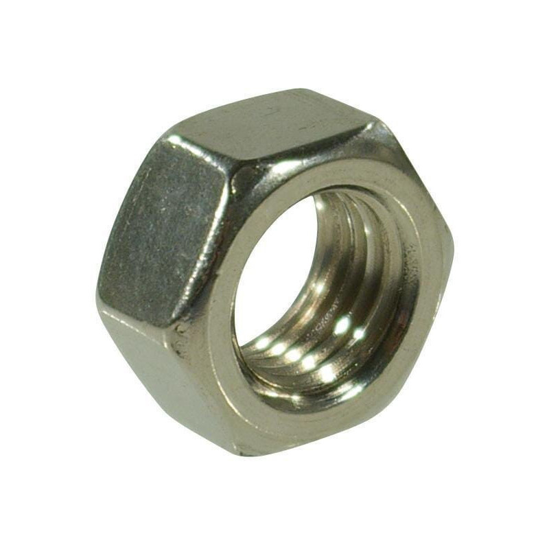 Briggs and Stratton Nut - 820829