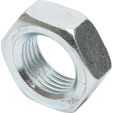 Briggs and Stratton Nut - 703904