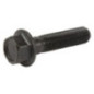 Briggs and Stratton Bolt - 701197YP