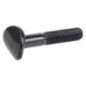 Bullone Briggs e Stratton - 701250YP