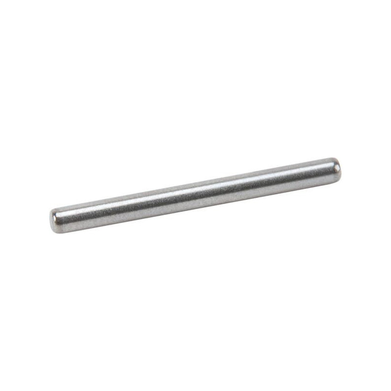 Perno de bisagra Briggs et Stratton - 590558