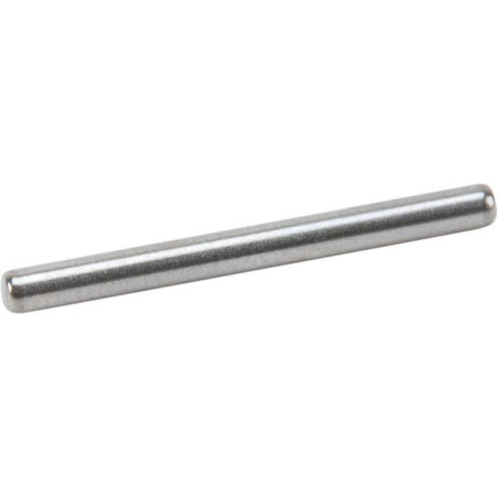 Perno de bisagra Briggs and Stratton - 590558