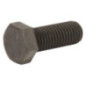 Briggs and Stratton Bolt - 770136