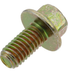 Briggs e Stratton Bolt-691593