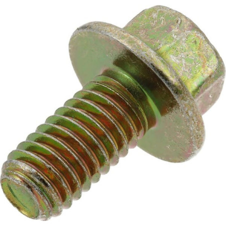 Briggs e Stratton Bolt-691593