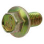 Bullone Briggs e Stratton - 691593