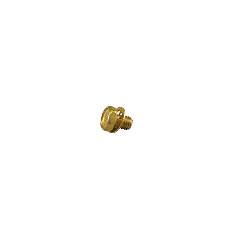Briggs and Stratton Starter Screw - 690837