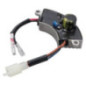 Regolatore Briggs et Stratton - 704912