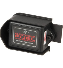 Módulo de estrangulador electrónico Briggs and Stratton - 597202