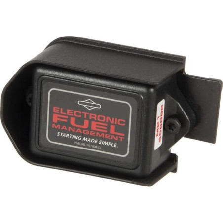 Módulo de estrangulador electrónico Briggs and Stratton - 597202