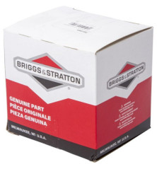 Elektronisches Modul von Briggs und Stratton – 597203 3