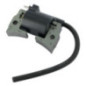 Magnete di accensione armatura Briggs e Stratton - 845601