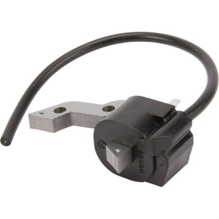 Briggs und Stratton Zündspule – 711197WM