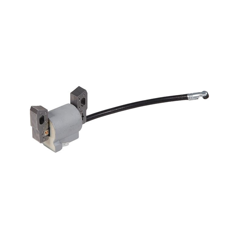 Briggs and Stratton Ignition Coil - 595291