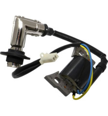 Briggs und Stratton-Zündspule – 317436GS
