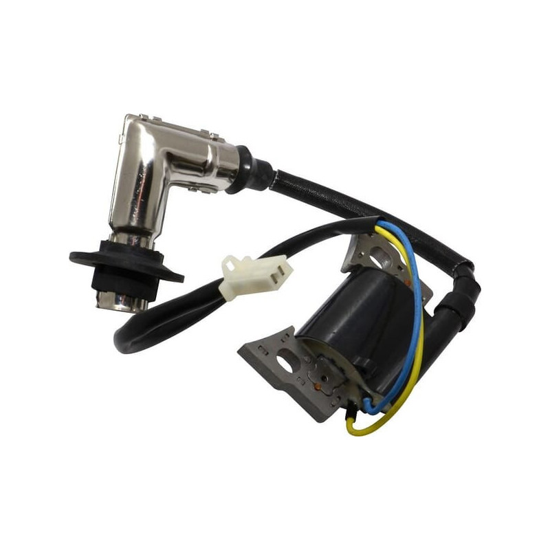 Briggs and Stratton ignition coil - 317436GS
