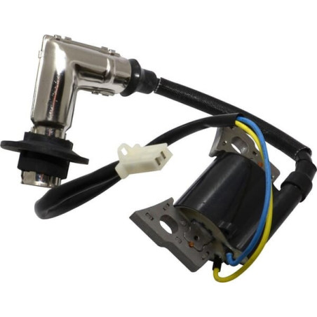 Briggs und Stratton-Zündspule – 317436GS
