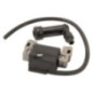 Briggs and Stratton Ignition Coil - 712447