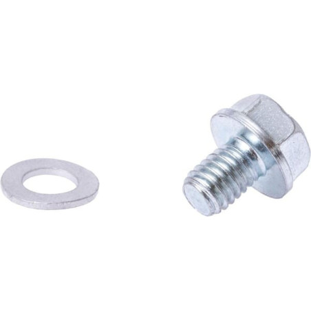 Parafuso do carburador Briggs e Stratton - 592493