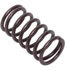 Briggs and Stratton Valve Spring - 692084