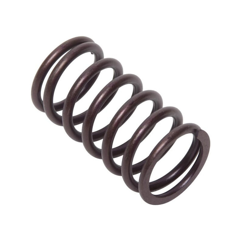 Briggs and Stratton Valve Spring - 692084