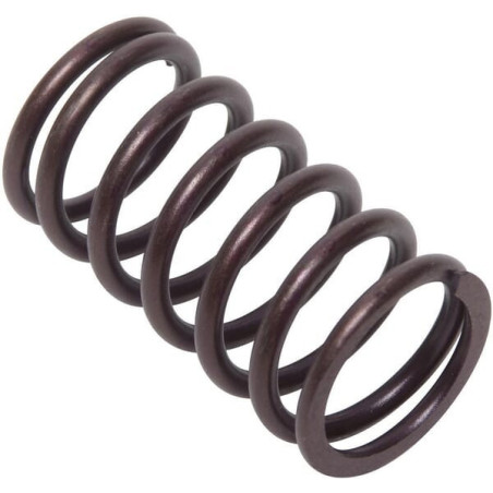 Briggs and Stratton Valve Spring - 692084