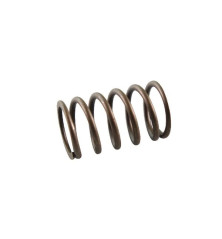 Briggs and Stratton Valve Spring - 691605