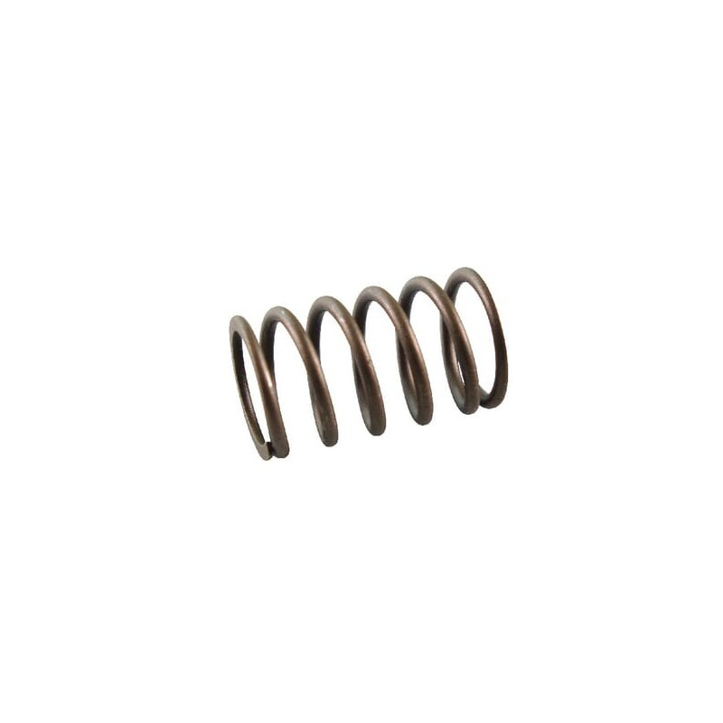 Briggs and Stratton Valve Spring - 691605