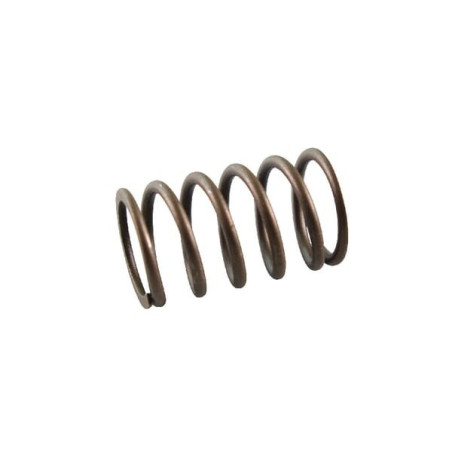 Briggs and Stratton Valve Spring - 691605