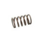 Briggs and Stratton Valve Spring - 691605
