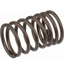 Briggs and Stratton Valve Spring - 690520