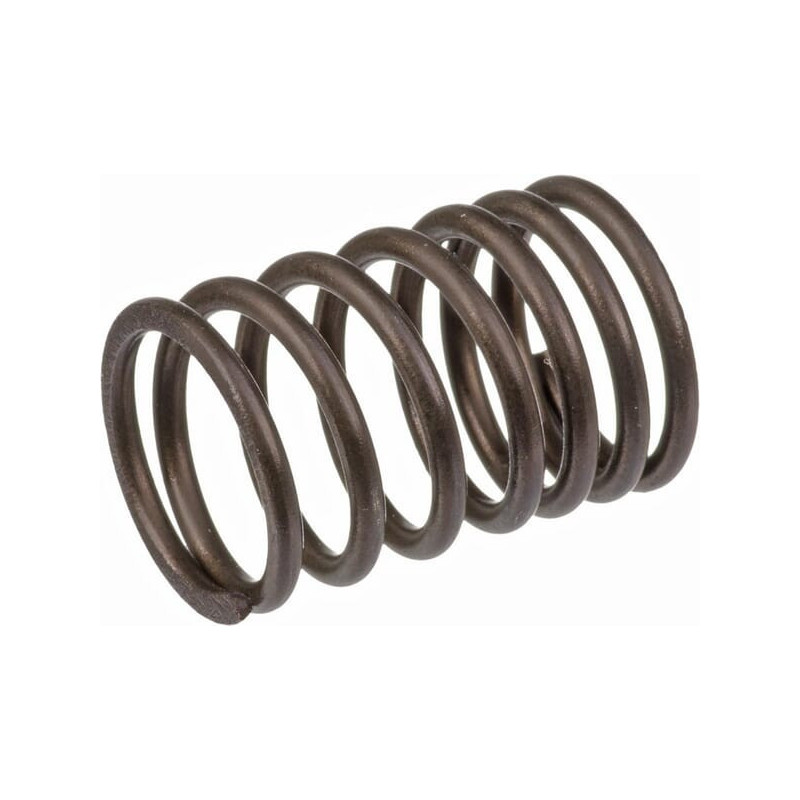 Briggs and Stratton Valve Spring - 690520