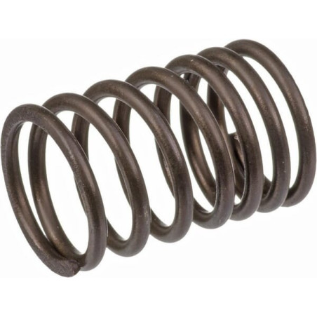 Briggs and Stratton Valve Spring - 690520