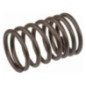 Briggs and Stratton Valve Spring - 690520