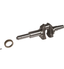 Albero motore Briggs e Stratton - 697390