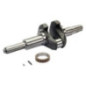 Kurbelwelle Briggs und Stratton - 596006