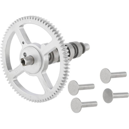 Árbol de levas Briggs and Stratton - 792555