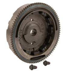 Briggs und Stratton Schwungrad – 798882